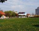 Frühling im Park. Im Hintegrund sind die ehemalige Frühling im Park. Im Hintegrund sind die ehemalige